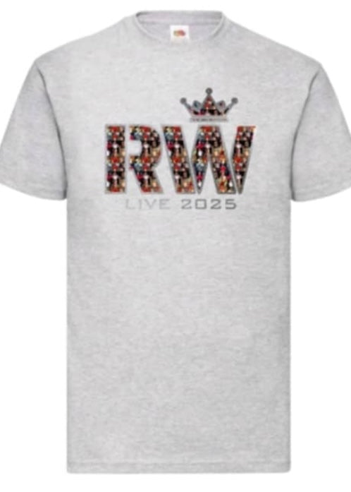 2025 Tour - T-shirt in heather grey