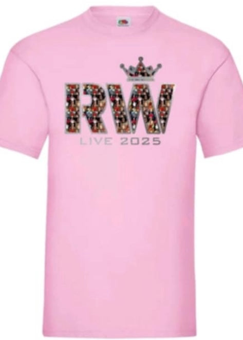 2025 Tour - T-shirt in baby pink
